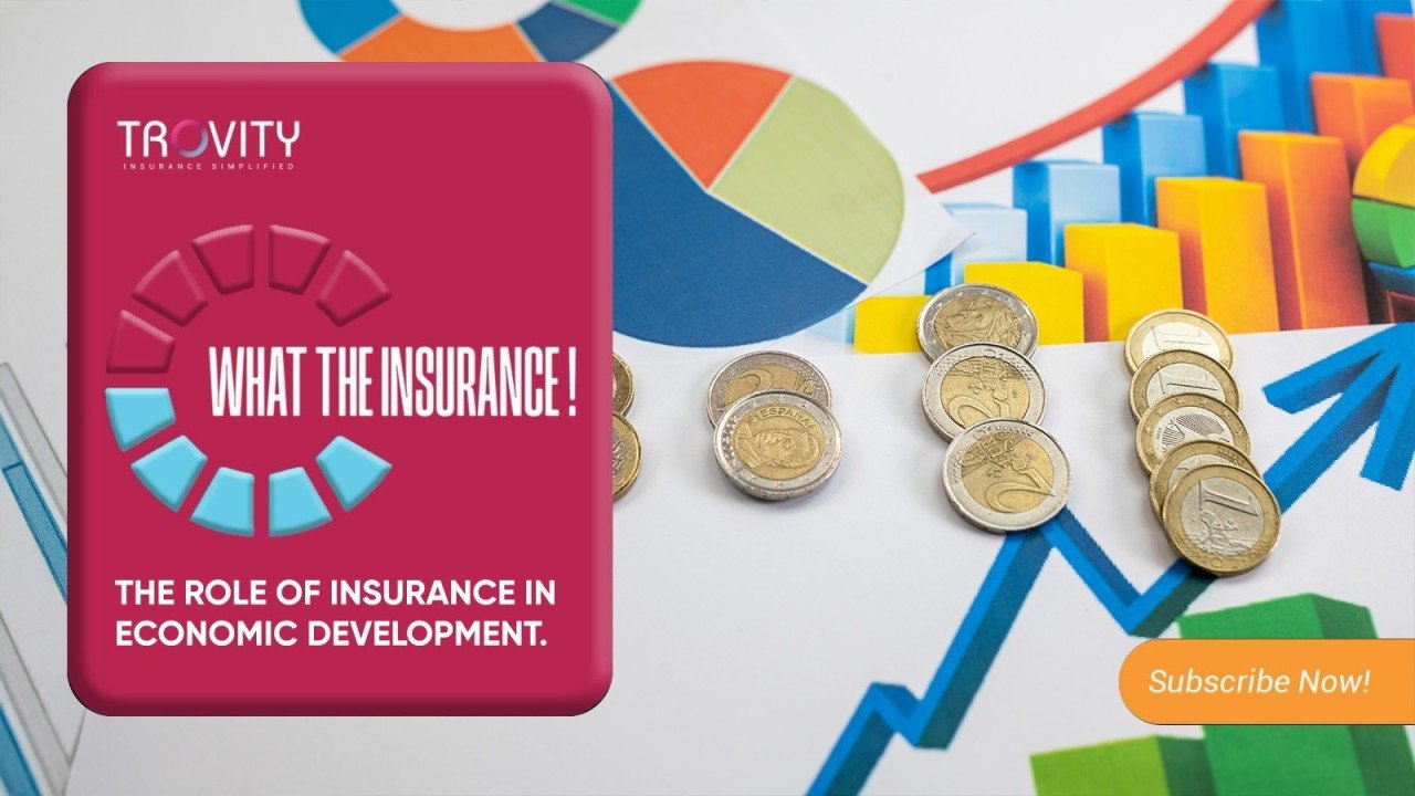 The Role of Insurance in Economic Stability and Growth